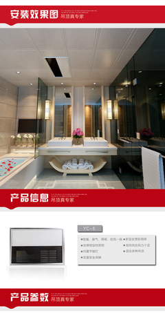 雅巢集成吊頂 600×300多功能浴霸風暖一體設計，成都雅巢建材專訪
